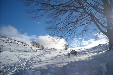 Affittacamere Lunella