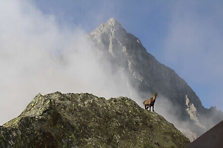 Bivacco Bruno Molino