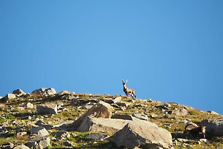 Alessandro Vangi - Trekker's Home Natura e Ospitalità