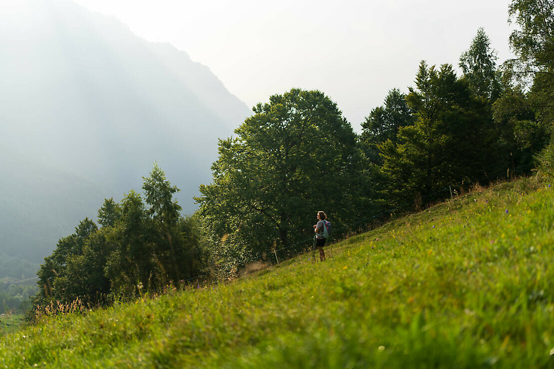 Scopri una primavera di libertà