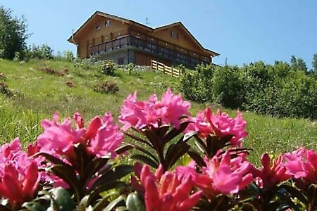 RIFUGIO COLLE DEL LYS