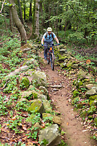 Percorso Lose e Merlo in MTB