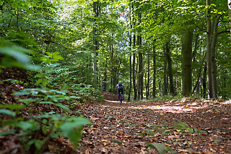 Percorso Lose e Merlo in MTB