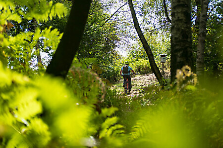 Percorso Lose e Merlo in MTB
