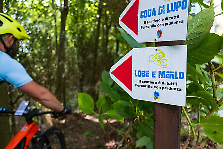 Percorso Lose e Merlo in MTB