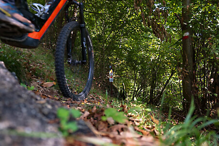 Percorso Lose e Merlo in MTB