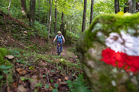 Percorso Lose e Merlo in MTB