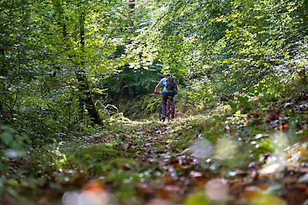 Percorso Lose e Merlo in MTB