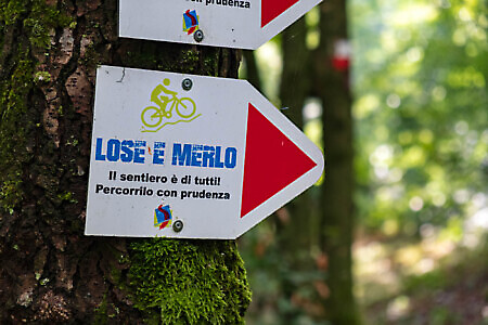 Percorso Lose e Merlo in MTB