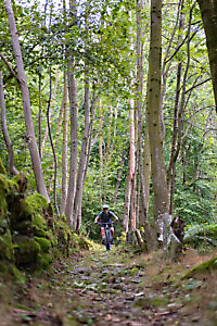 Percorso Lose e Merlo in MTB