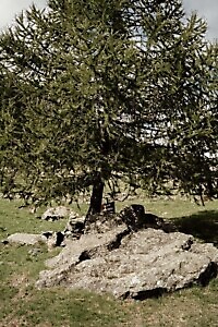 Altare preistorico di Bogone