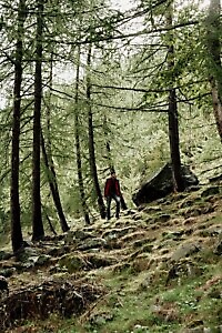 Altare preistorico di Bogone