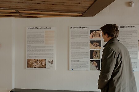 Castello dei Conti Francesetti