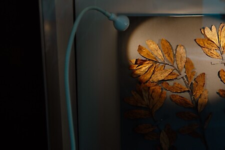 Ecomuseo della Resistenza