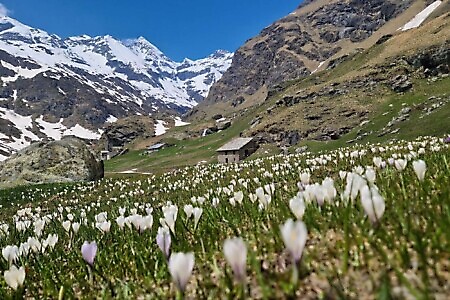 Lago di Malciaussia e Lago Nero