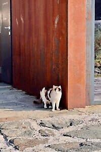 Lago di Monastero e Alpe Costapiana