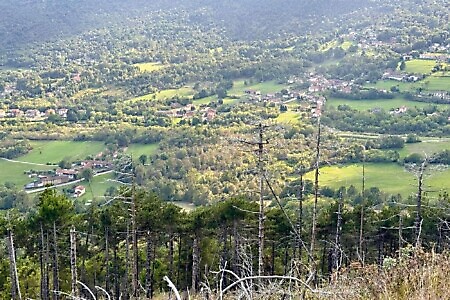 Monte Baron