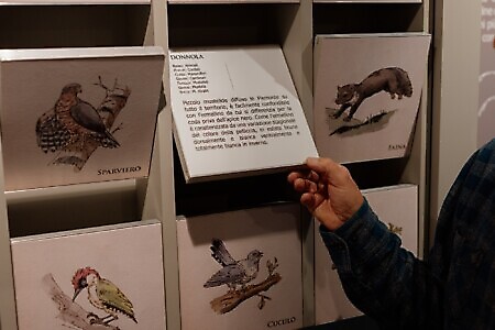 Museo Civico Tazzetti e Complesso parrocchiale