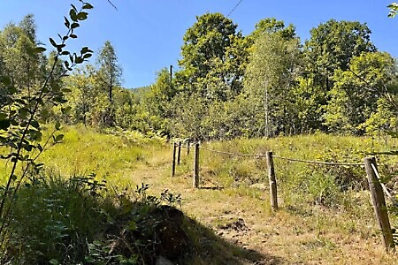 Riserva naturale Monte Lera