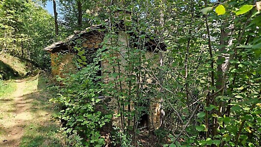 Sentieri della libertà e della resistenza