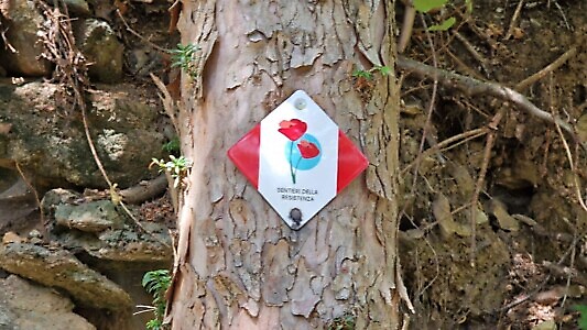 Sentieri della libertà e della resistenza