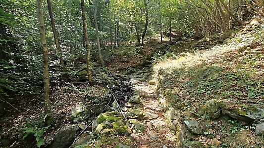 Sentieri della libertà e della resistenza