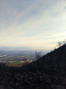 Sentieri per Tutti: anello del Monte Castello