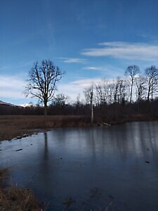 Sentieri per Tutti: anello del Monte Castello