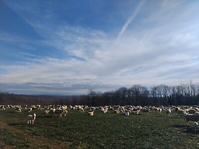 Sentieri per Tutti: anello del Monte Castello