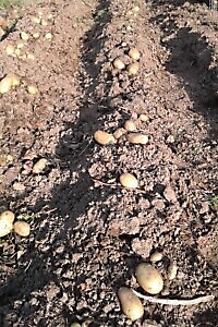 Azienda Agricola Ca' du Tri