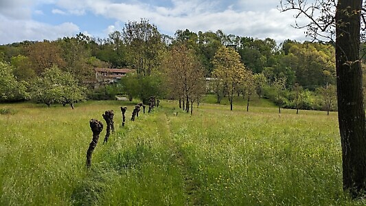 Sentieri per Tutti, Anello del Mulino Turcin