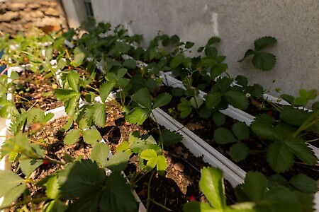 Azienda Agricola Ca' du Tri