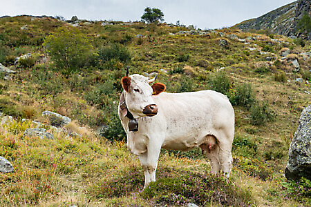 Lanzo Crossing 2 - A fil di cresta sulla Val Grande