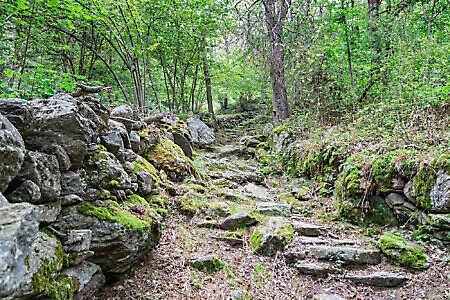 Lanzo Crossing 2 - A fil di cresta sulla Val Grande