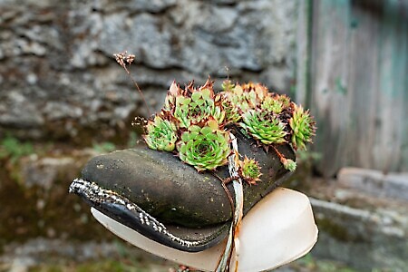 Lanzo Crossing 3 - Per boschi e antichi alpeggi