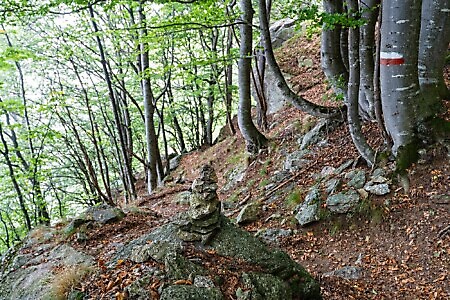 Lanzo Crossing 3 - Per boschi e antichi alpeggi