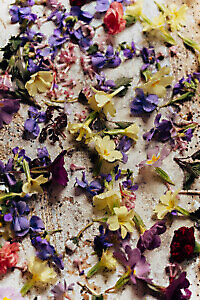 Montagna in fiore alla Piccola Gallenga