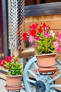 Spa Relax Della Valle