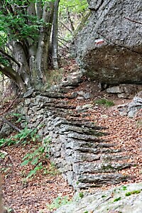 Lanzo Crossing 3 - Per boschi e antichi alpeggi