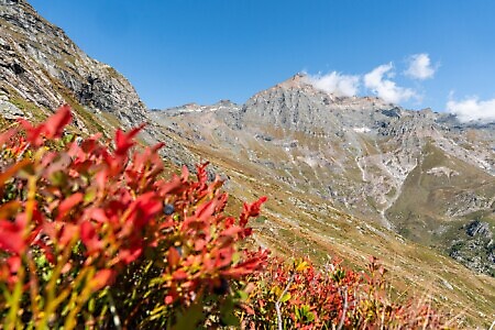 Lanzo Crossing 5 - Salendo verso i ghiacciai