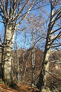 Lanzo Crossing 8 - Sulle tracce della Sacra Sindone