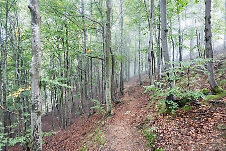 Lanzo Crossing 9 - La chiusura del cerchio