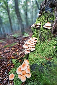 Lanzo Crossing 9 - La chiusura del cerchio