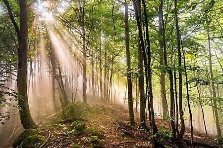 Lanzo Crossing 9 - La chiusura del cerchio