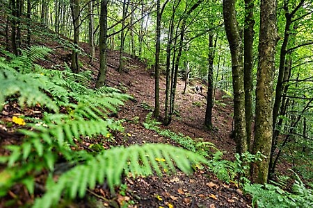 Lanzo Crossing 9 - La chiusura del cerchio