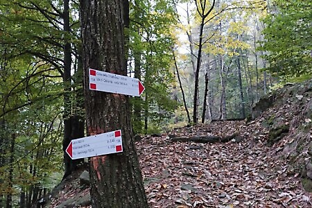 Lanzo Crossing 9 - La chiusura del cerchio