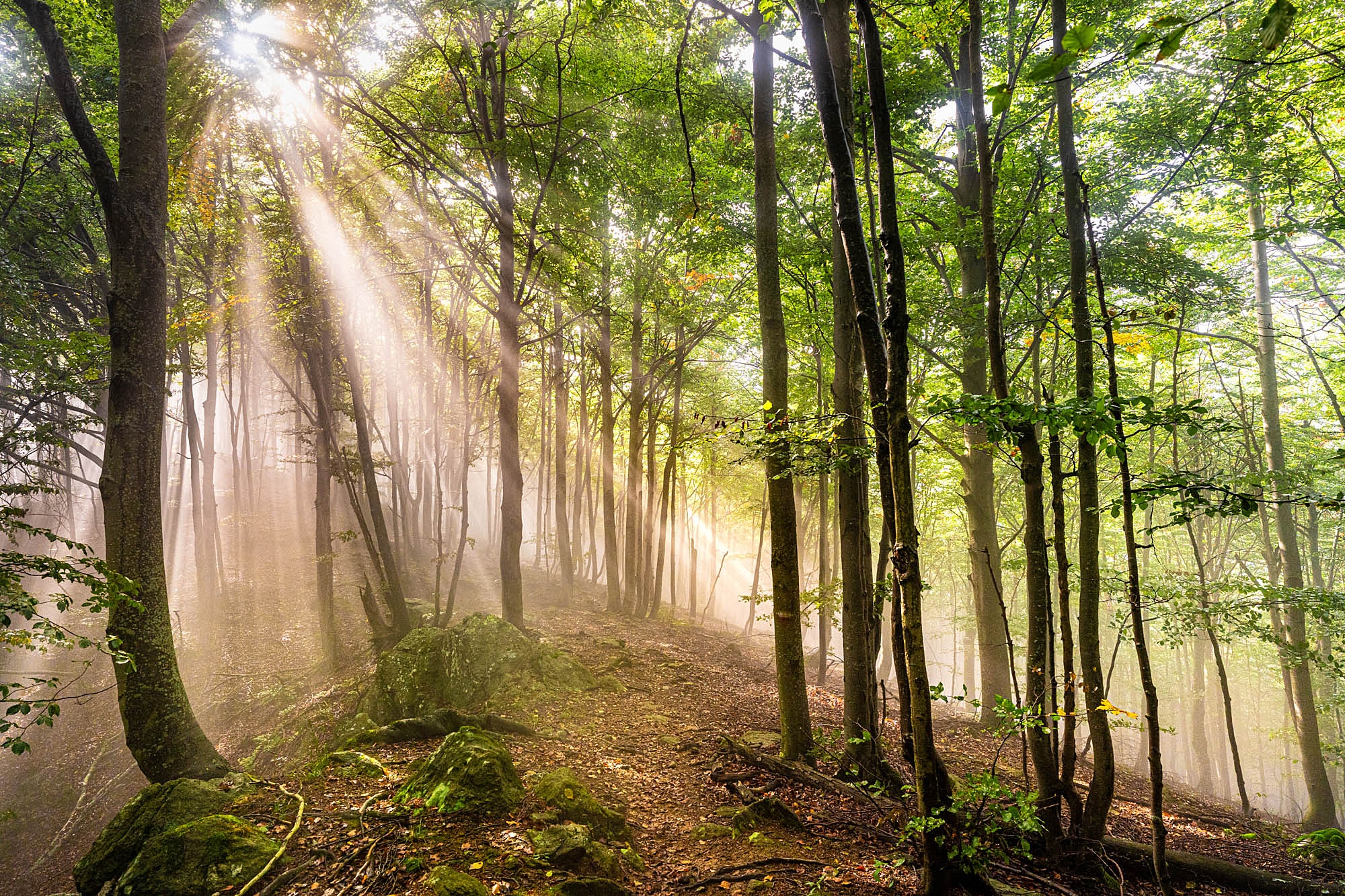 Lanzo Crossing 9 – La chiusura del cerchio