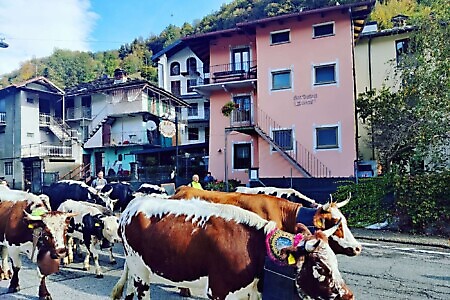 Osteria L' Circul