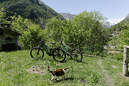 Baite del Baus - Baita Borgo Alpino