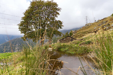 Monte Soglio